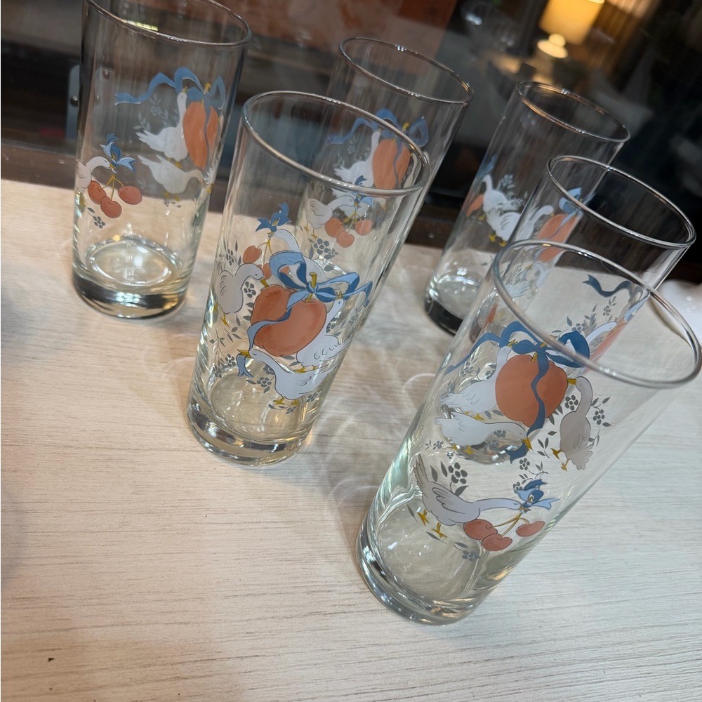 Set of 6 Cottagecore Glasses!  These are adorable!